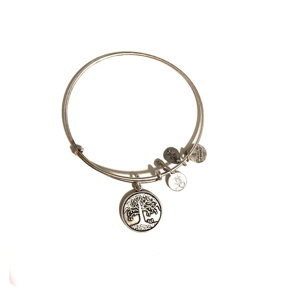 Alex and ani bracelet - Picture 1 of 1